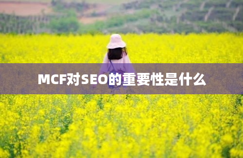 MCF对SEO的重要性是什么