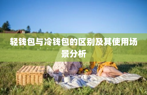 轻钱包与冷钱包的区别及其使用场景分析