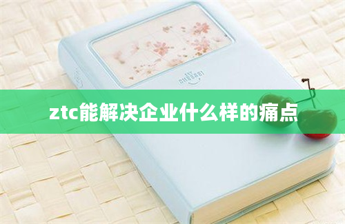 ztc能解决企业什么样的痛点