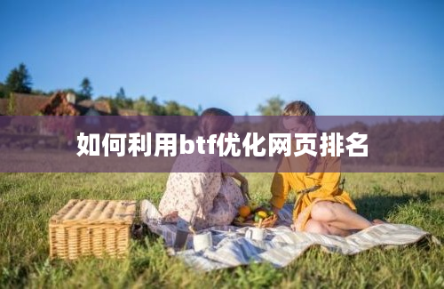 如何利用btf优化网页排名