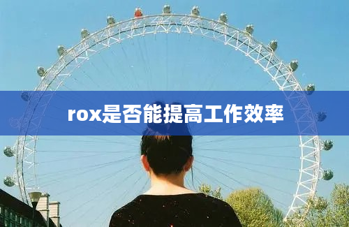 rox是否能提高工作效率