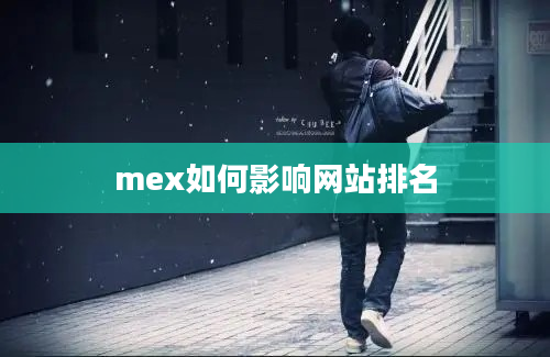 mex如何影响网站排名