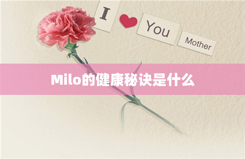 Milo的健康秘诀是什么