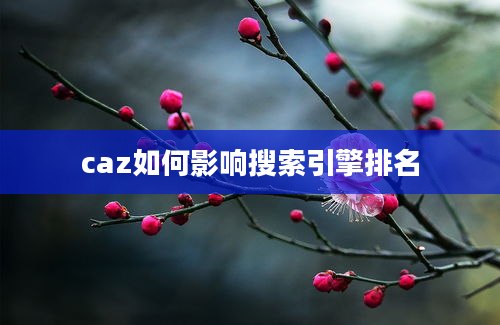 caz如何影响搜索引擎排名