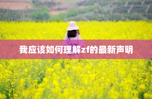 我应该如何理解zf的最新声明