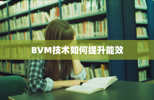 BVM技术如何提升能效