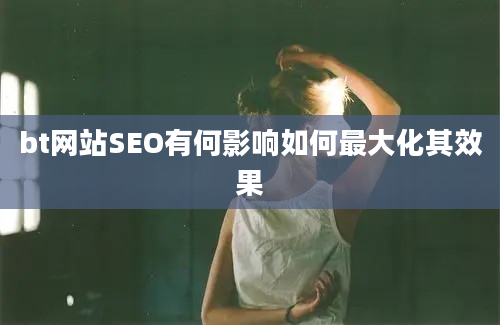 bt网站SEO有何影响如何最大化其效果