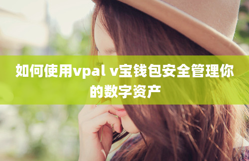 如何使用vpal v宝钱包安全管理你的数字资产