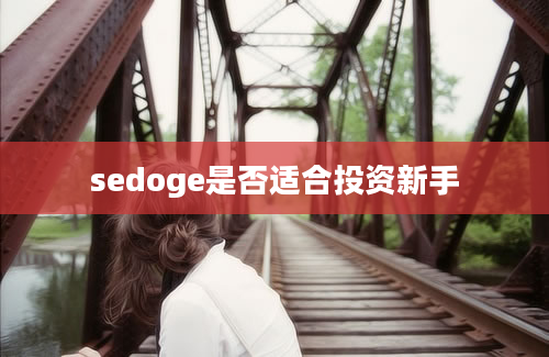 sedoge是否适合投资新手