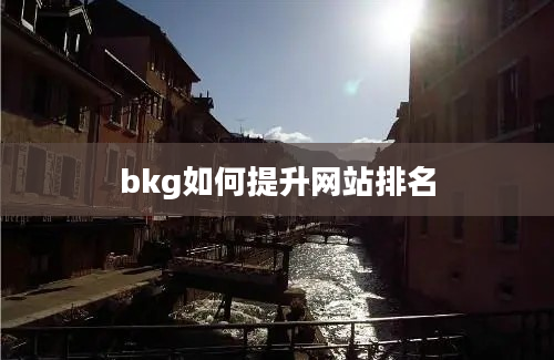 bkg如何提升网站排名