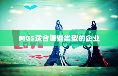 MGS适合哪些类型的企业