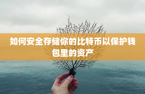 如何安全存储你的比特币以保护钱包里的资产