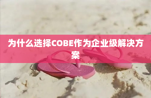 为什么选择COBE作为企业级解决方案