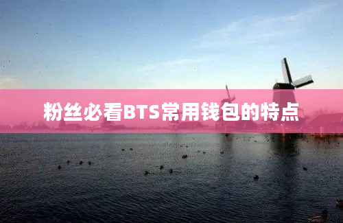 粉丝必看BTS常用钱包的特点