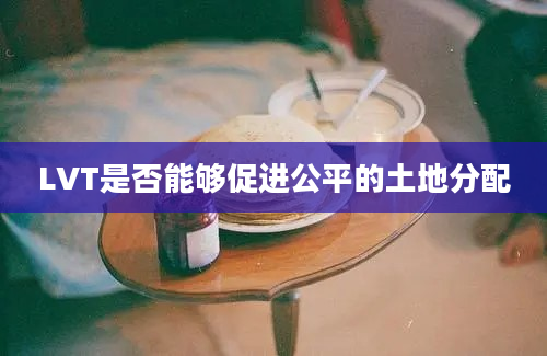 LVT是否能够促进公平的土地分配