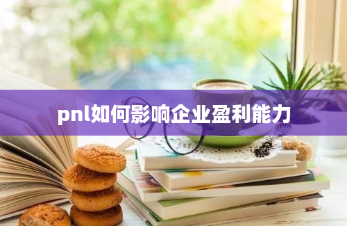 pnl如何影响企业盈利能力