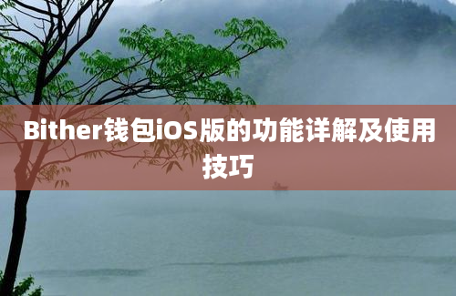 Bither钱包iOS版的功能详解及使用技巧