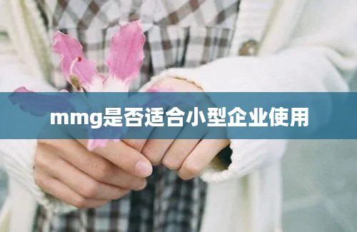 mmg是否适合小型企业使用