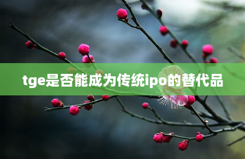 tge是否能成为传统ipo的替代品