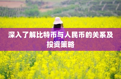 深入了解比特币与人民币的关系及投资策略