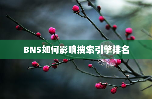 BNS如何影响搜索引擎排名