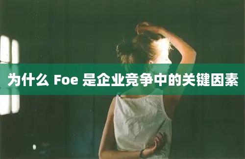 为什么 Foe 是企业竞争中的关键因素