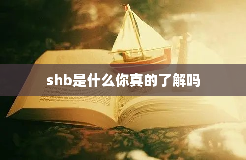 shb是什么你真的了解吗