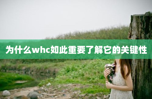 为什么whc如此重要了解它的关键性