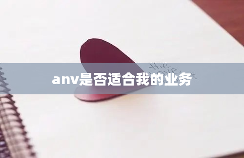 anv是否适合我的业务