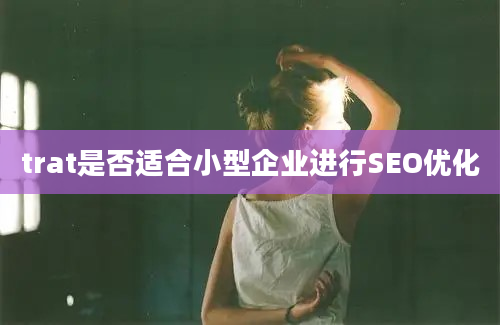 trat是否适合小型企业进行SEO优化