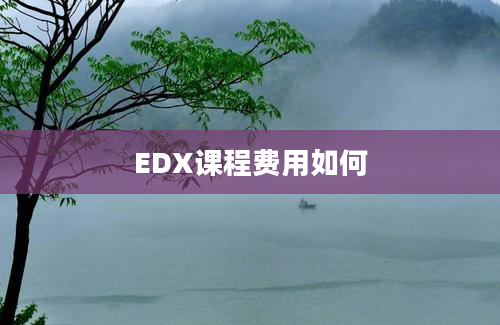 EDX课程费用如何