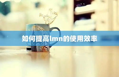 如何提高lmn的使用效率