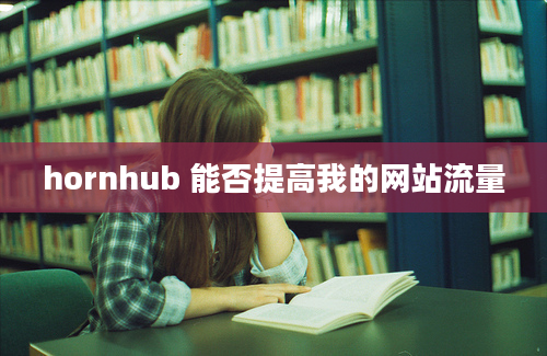 hornhub 能否提高我的网站流量