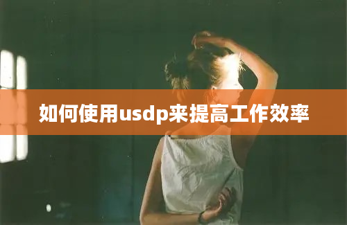 如何使用usdp来提高工作效率