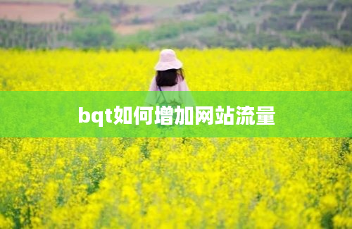 bqt如何增加网站流量