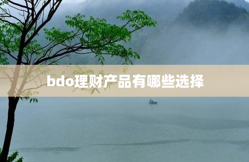 bdo理财产品有哪些选择