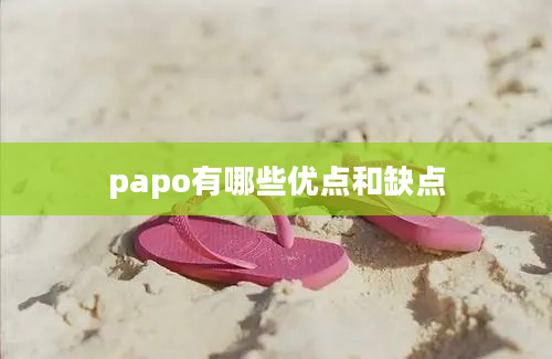 papo有哪些优点和缺点