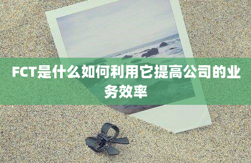 FCT是什么如何利用它提高公司的业务效率