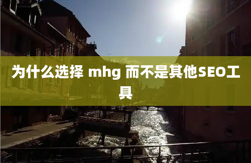 为什么选择 mhg 而不是其他SEO工具