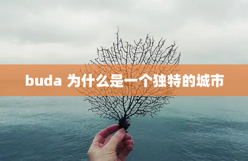 buda 为什么是一个独特的城市