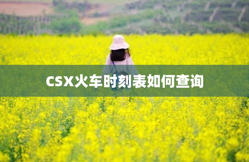 CSX火车时刻表如何查询