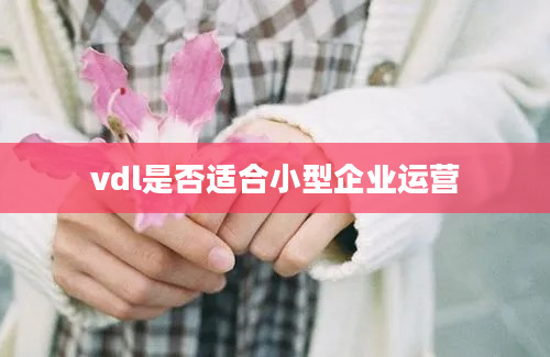 vdl是否适合小型企业运营