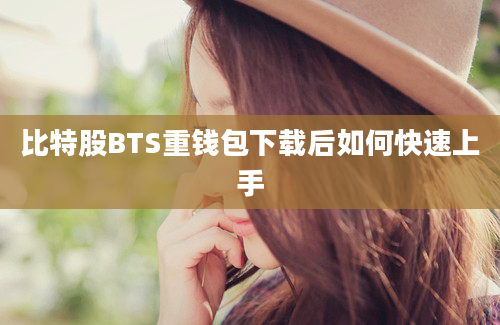 比特股BTS重钱包下载后如何快速上手