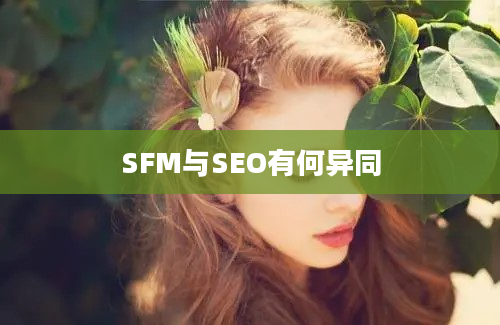 SFM与SEO有何异同