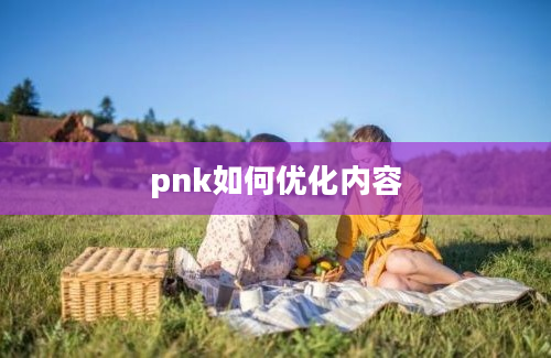 pnk如何优化内容