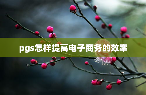 pgs怎样提高电子商务的效率