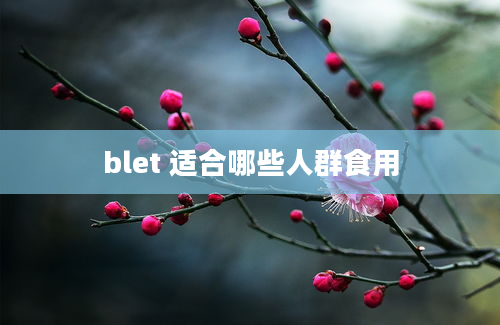 blet 适合哪些人群食用