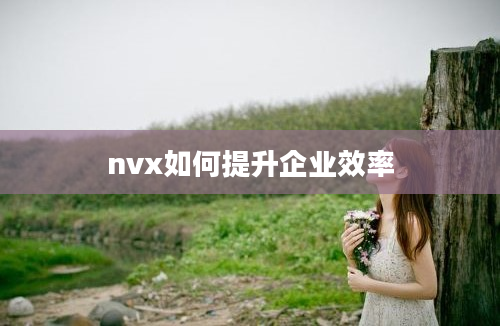 nvx如何提升企业效率