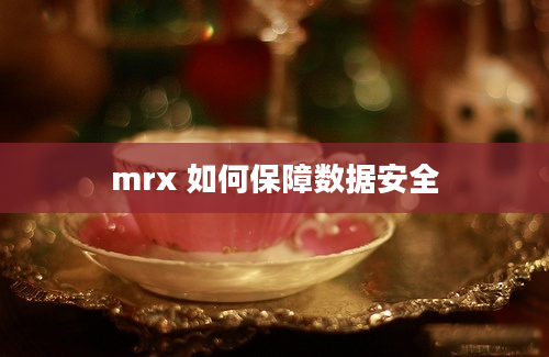 mrx 如何保障数据安全