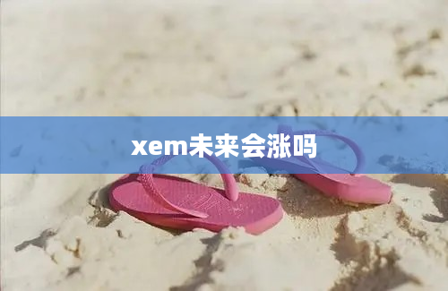 xem未来会涨吗